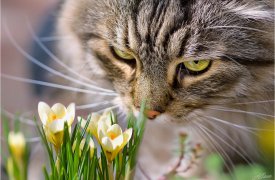 Неужели весна: 26 марта воздух в Туле прогреется до +8°