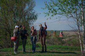 На Куликовом поле пройдёт VI Межрегиональный конкурс по полевым фотонаблюдениям за птицами