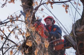 20 апреля в Туле перекроют участок на ул. Бондаренко