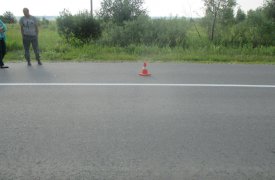 В Тульской области пешеход-нарушитель угодил под колеса «Нивы»