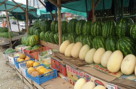 Тулякам не рекомендуют есть дыню: может вызвать расстройство