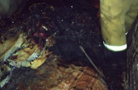 Ранним утром 5 сентября под Тулой полыхал дом: имеется пострадавший