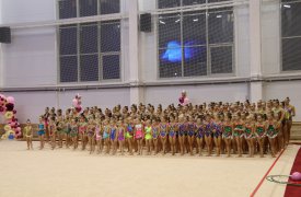 400 российских юных гимнасток выступят в Туле на межрегиональном турнире