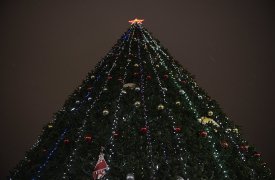Тула вошла в топ-5 самых высоких новогодних ёлок в России