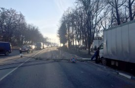 В Туле на Новомосковском шоссе грузовик снес столб: подробности происшествия