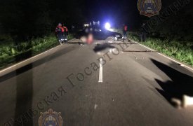 В Тульской области из-за неосторожности водителя в ДТП скончались три человека: умерли водитель и два пассажира