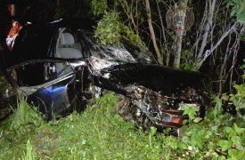 Жуткое ДТП на трассе под Тулой: юная автоледи с 2-месячным стажем вождения врезалась в дерево
