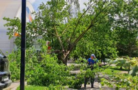 Тульское Заречье 