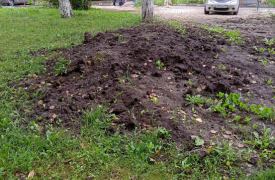 Тулячка пожаловалась на беспорядок во дворе, который устроили автовладельцы на ул.Рязанской