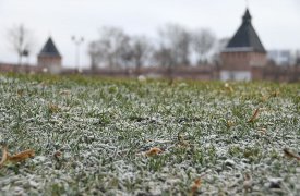 В Тульской области ударили первые заморозки