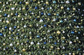 В Туле установка новогодней елки начнется 20 ноября