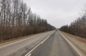На трассе в Одоевском районе под колесами иномарки погибла 35-летняя женщина