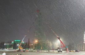 В центре Тулы устанавливают новогоднюю елку