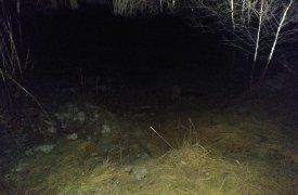 В ДТП на трассе под Тулой пострадали две 15-летние девочки