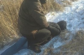 18-летний юноша, планировавший вооруженное нападение на тульский вуз, оказался из Курска