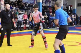 Спортсмены Тульской области завоевали 27 медалей и заняли 3 место на Чемпионате и Первенстве ЦФО по панкратиону