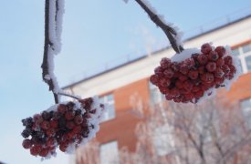 Зима не отступает: в Туле и области ожидается сильное похолодание
