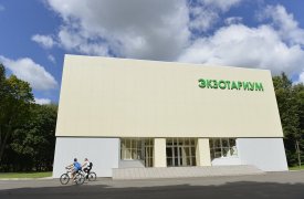 Все о лягушках посетители узнают 13 марта в тульском экзотариуме