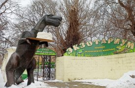 Главная 