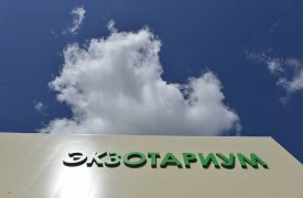 Тульский экзотариум приглашает школьников весело и с пользой провести каникулы