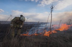 С 16 апреля в Тульской области в связи с резким повышением температуры вводится особый противопожарный режим