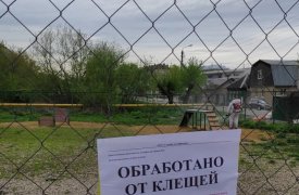 В Зареченском округе обработали от клещей почти 20 гектаров территории