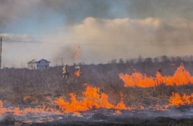 Положение о пожароопасности 4 класса продлено до 26 июня в Тульской области