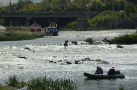 Когда и какие водоемы расчистят в Тульской области