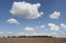 Жара продолжается: какая погода будет в Туле сегодня