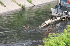 В Туле началась расчистка русла реки Воронки