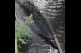 В реку Воронку возле Московского вокзала сливают сточные воды: туляки жалуются на вонь