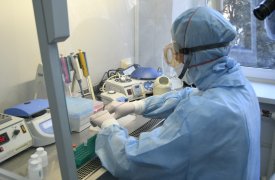 В четырех районах Тульской области не зарегистрировано новых случаев коронавируса