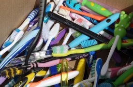 Туляков приглашают на тематический день «В окружении пластмассы» в Экзотариуме