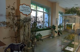 Борщевик, хрущак и енотовидная собака: тульский экзотариум расскажет про инвазивные виды