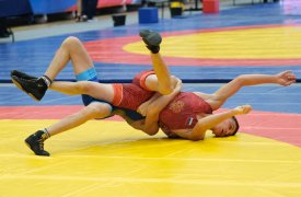В Туле проходят Всероссийские соревнования по греко-римской борьбе