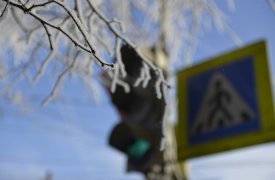В Тульской области продлили метеопредупреждение из-за морозов и гололедицы