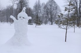 В Туле высота снежного покрова достигла полуметра