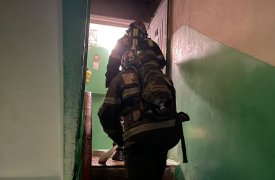 в Новомосковске пожарные из горящего дома спасли 3 человек, сгорела входная дверь