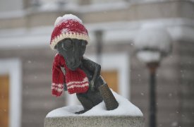 9 февраля в Туле ожидается небольшой снег, низкое давление и температура до +2 градусов