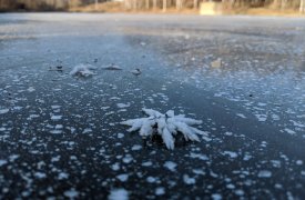 10 февраля в Туле стоит ждать мокрого снега, гололеда и потепления до +3 градусов