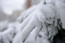 В Туле 11 февраля ожидаются мокрый снег, низкое давление и до +3 градусов