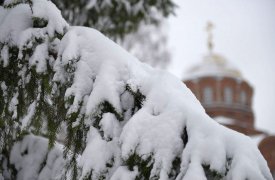 17 февраля в Туле ожидается силный ветер, дождь с мокрым снегом и до +5 градусов