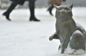 К выходным в Тульскую область придут холода, снег и гололедица
