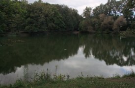 В Платоновском парке Тулы началось восстановление плотины пруда
