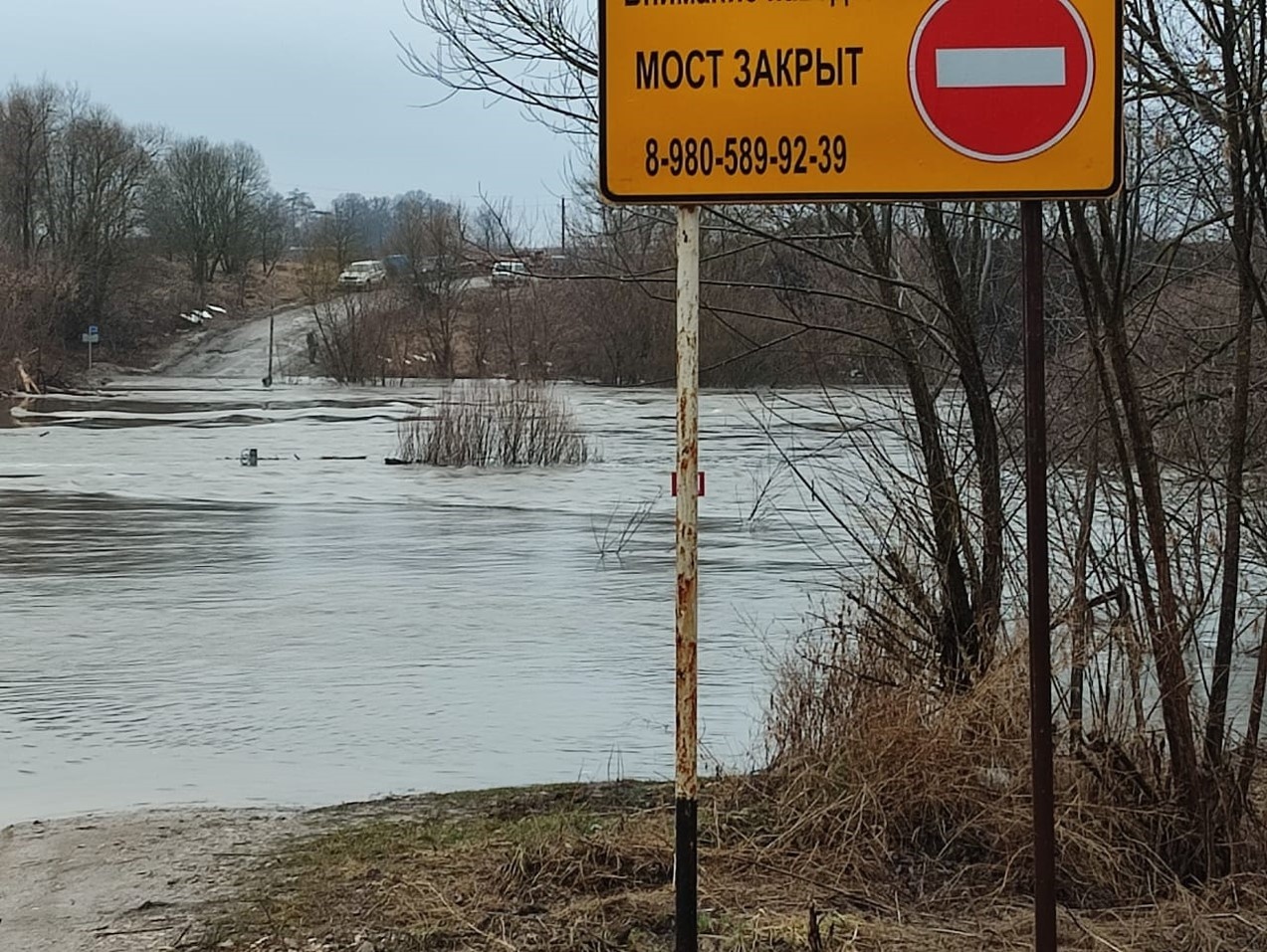 Уровень воды в 2019 году. Затопило Тула 2022. Паводок в Чекалин Тульская область. Разлив реки Упы в Туле. Подтопление низководных мостов.