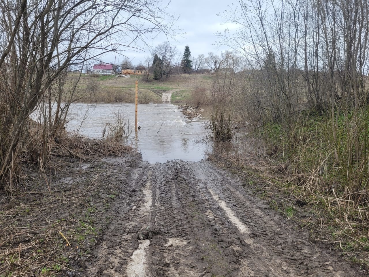 Уровень воды в упе тула сегодня