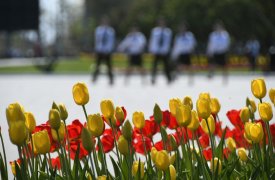 11 мая синоптики обещают в Туле очень ветреный, но теплый день - до +19 градусов