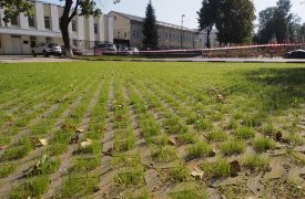 В Кремлевском сквере появилась экопарковка