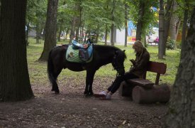 4 июня в Туле будет облачная погода без дождей, до +24 градусов