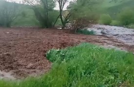 В Тульской области на равнине обнаружили настоящую навозную сель